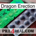 Dragon Erection new04